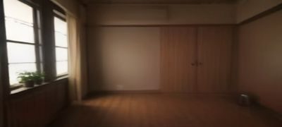 石榴视频内容生态报告，展示品类分布与更新频率数据图表