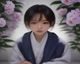 石榴视频编辑部整理2026年上半年最值得看的纪录片合集，涵盖自然、历史、人文多个领域的精选内容导航